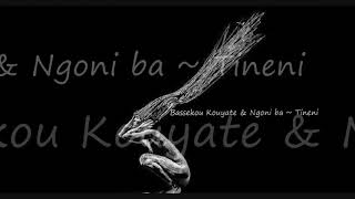 Bassekou Kouyate &amp; Ngoni ba ~ Tineni (feat. Toumani Diabate)