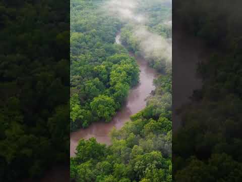 TERRA360 TAMIL S18  RIVER NILE  #shorts