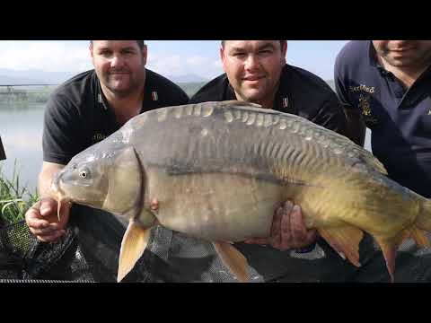 Maconka Top 5 verseny 2019.15.19