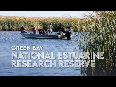 Green Bay National Estuarine Research Reserve