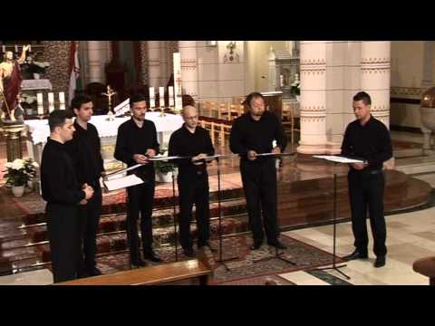 Thomas Tallis: Verily, verily I say unto you