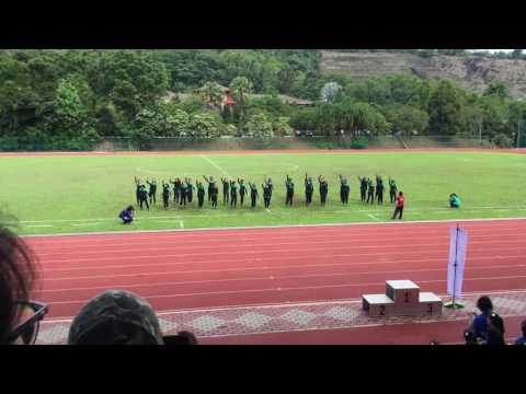 EMERALD GREEN SENAMROBIK 2016