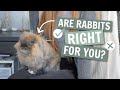 Watch THIS Before Getting A Rabbit