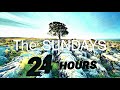 The Sundays - 24 Hours