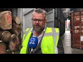 Vraatzuchtig beestje zorgt voor explosieve stijging boomstammenexport