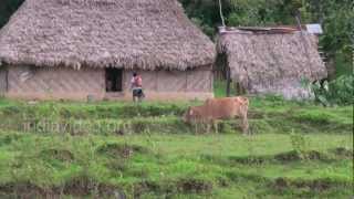 Bengali Settlements in Diglipur