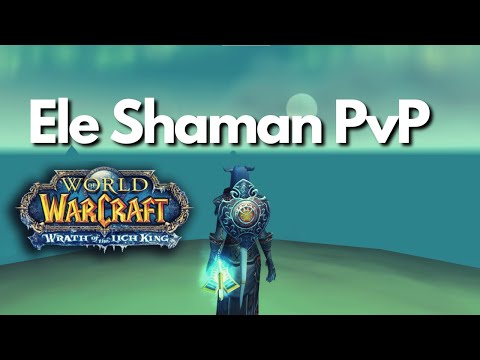 Im Eye of the Storm End Boss | Elemental Shaman WOTLK PvP