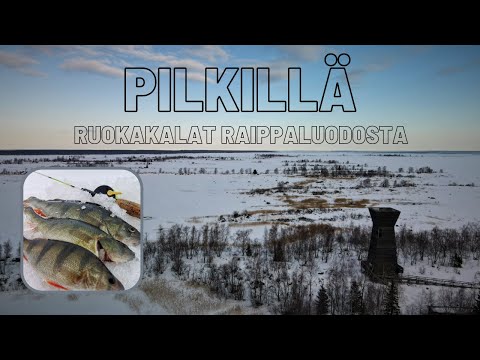 Pilkillä Raippaluodossa | Suomen parhaimpia pilkkivesiä | Ice fishing | Ahvenen kalastus