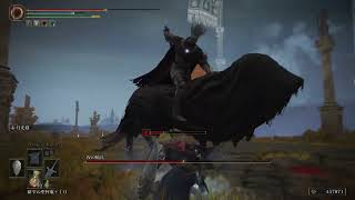 ［ELDEN RING＃19］何がある？アルター高原のボス&坑道探索！［死にゲー］