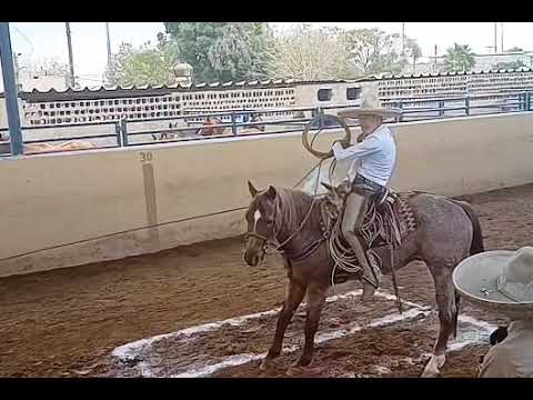 SEBASTIÁN PEREA MIJARES EL FAMOSO CORAJES PIAL 2 HACIENDA EL ROSARIO ESTATAL 1 DURANGO 2023...