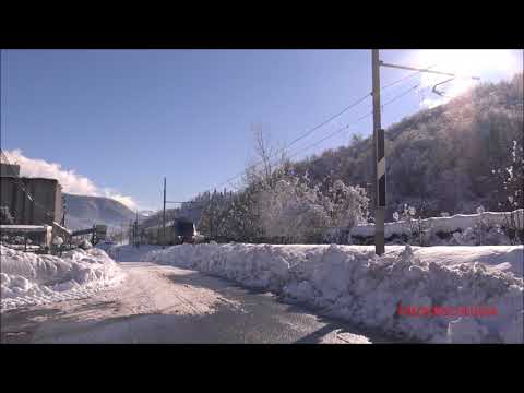 IL SALUTO DEL MINUETTO D. IN TRANSITO NELLA NEVE A ROBILANTE. (CN) MERC. 6 - 1 - 2021.