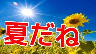 夏になりました