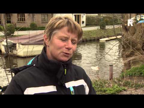 Vos slaat toe in Maassluis: 'Dit is gewoon dramatisch'