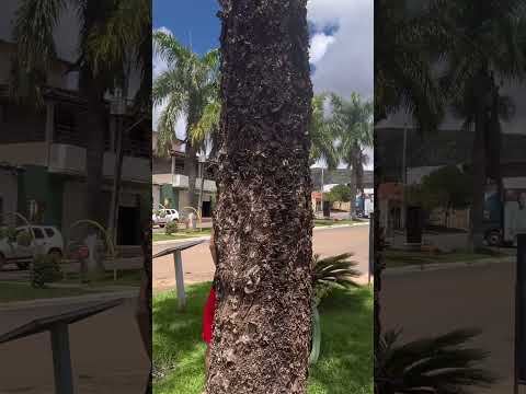 Minas Gerais e suas riquezas Cidade de Itacambira MG.