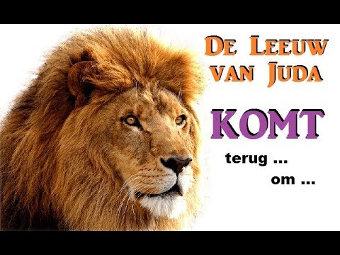 De Leeuw van Juda