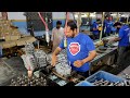 70cc Motorcycle Engine Complete Assembling In Factory