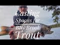 Video Thumbnail for ***Casting Spoons for BIG Brook Trout***