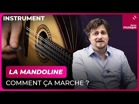 La mandoline, comment ça marche ? Vincent Beer-Demander - Culture Prime