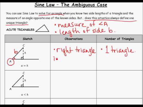 Sine Law - The Ambiguous Case