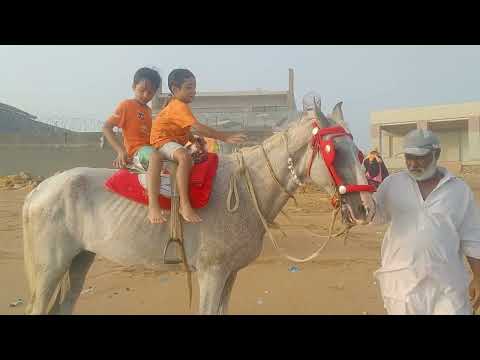 Rayyan Ayan at turtle beach (27 july 2024)