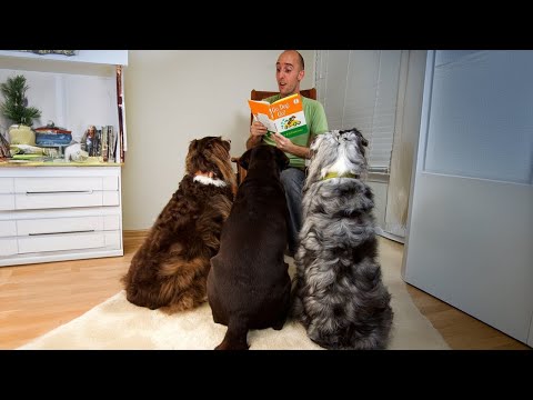 Je n'en peux plus de ces chiens et de ces humains !!🤣