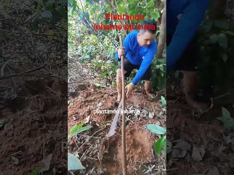 3 de novembro de 2025