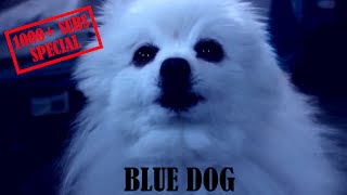 Gabe the Dog - Blue Dog [1000+ SUBS SPECIAL]