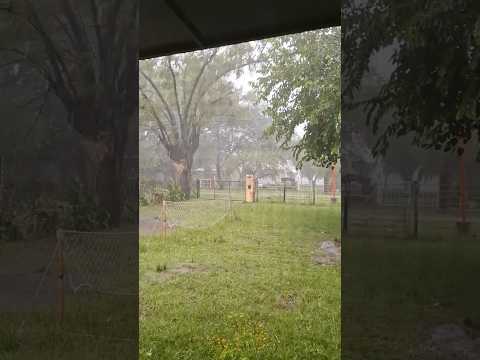 Tormenta en Santa fe #familia #tormenta #lluvia