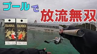 【栃木市総合運動公園】プールでの放流狩りが止まらなすぎるww、BANNA最強！！！【管理釣り場】【エリアトラウト】