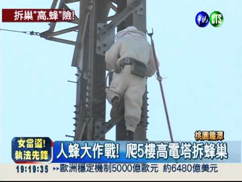 5樓高電塔築蜂巢 拆除踢皮球