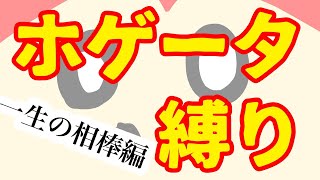 【初見】ホゲータ1匹進化しないで全クリしたい#1【ポケットモンスターSV】