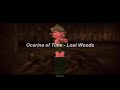 Ocarina Of Time Lost Woods Slowed Reverb 1 Hour