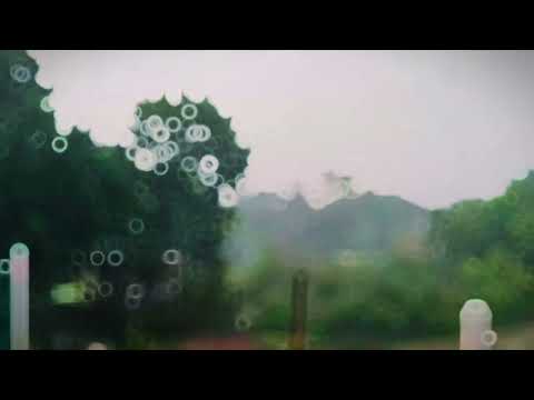 💚🌿💚 #foryou #follow #nature #video 