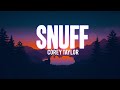 Corey Taylor Snuff Acoustic Lyrics Video