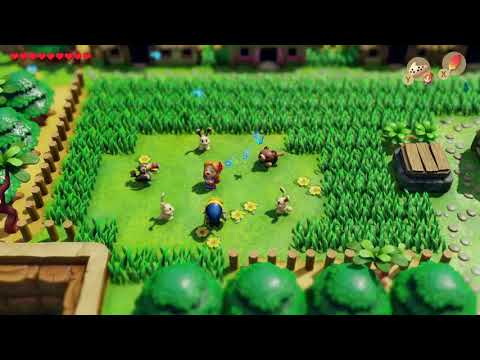 Marin Sings for Animal Village