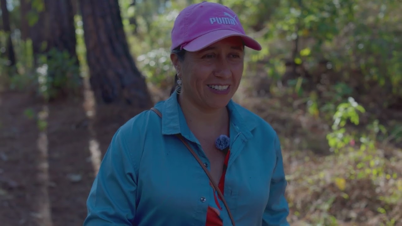Mujeres, huertas y árboles se fortalecen en los ejidos de Guerrero