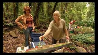 Caldera Wildscape Artists in the  Rainforests