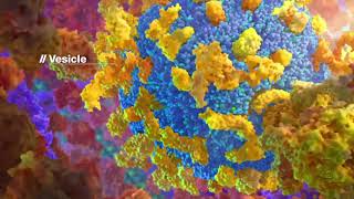Protein Packing Inside the Cell (BioVisions) (Official Version)
