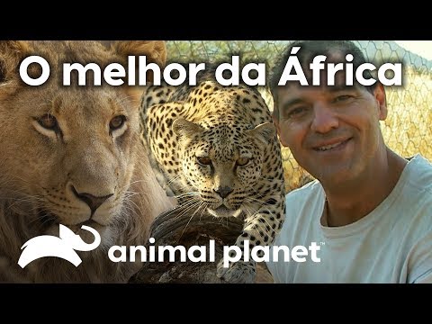 As aventuras de Frank pela África | Wild Frank Perdido Na África | Animal Planet Brasil