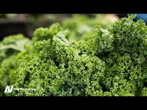 download lagu mp3 mp4 Macrobiotic Diet Book, download lagu Macrobiotic Diet Book gratis, unduh video klip Macrobiotic Diet Book