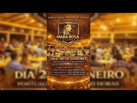 MARA ROSA LEILÕES - GOIÁS - LEILÃO DE GADO DE CORTE 20/01/2026
