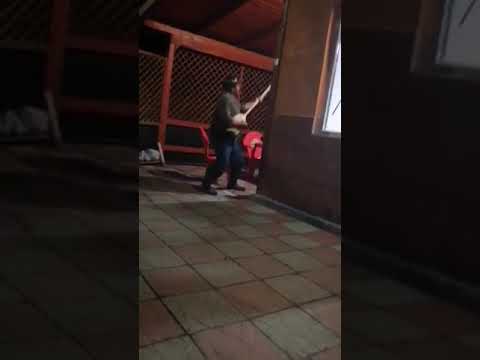 sacalu de padure .ilie budusanu