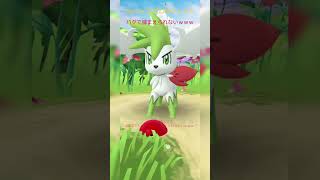 ポケモンGO バグってるｗｗｗｗｗｗｗｗｗｗｗ