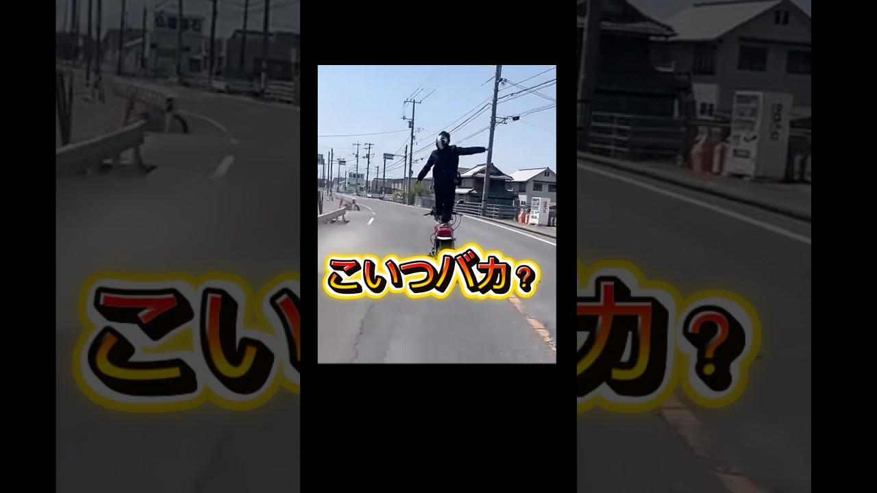 ざまぁみろ！www #事故映像 #automobile #ダンプ #事故 #警察 #ドラレコ #運転技術 #バイク　#バカ