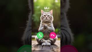 Download lagu ULI CAT CALLING❤️#ringtone #catlover #cat #youtubeshorts #funny #shorts #funnycats #shortvideo mp3 Download lagu ULI CAT CALLING❤️#ringtone #catlover #cat #youtubeshorts #funny #shorts #funnycats #shortvideo mp3
