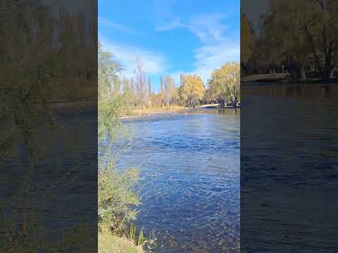 Costanera Río Chimehuin, Junin de los Andes - Neuquén.