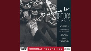 Rain Is Falling (Album Version)