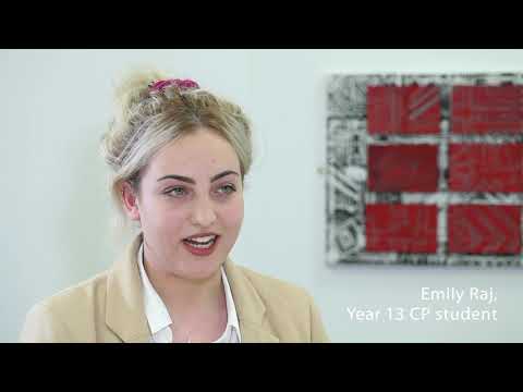 Educator's Perspective on the IB Career related Programme