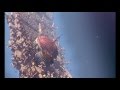 Treasure Planet Trailer Sound Effect Remix