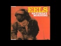 Eels - Sad Foot Sign